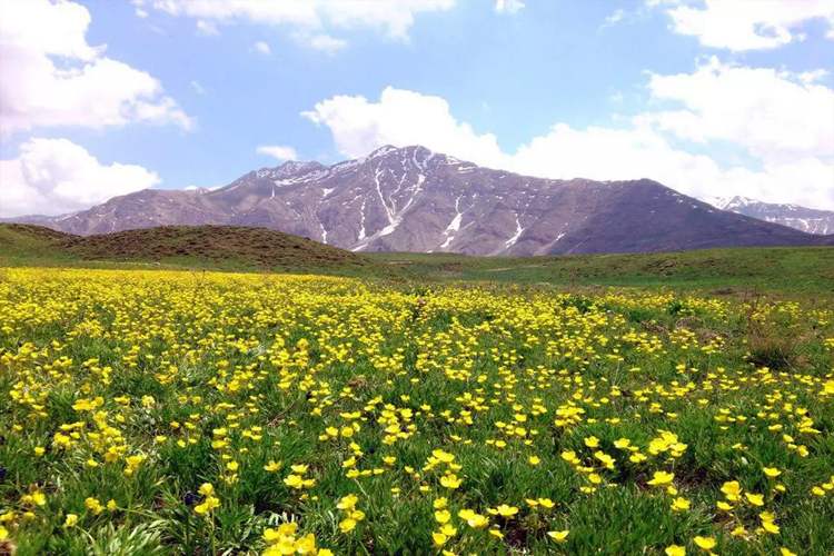 پارک ملی و دشت لار