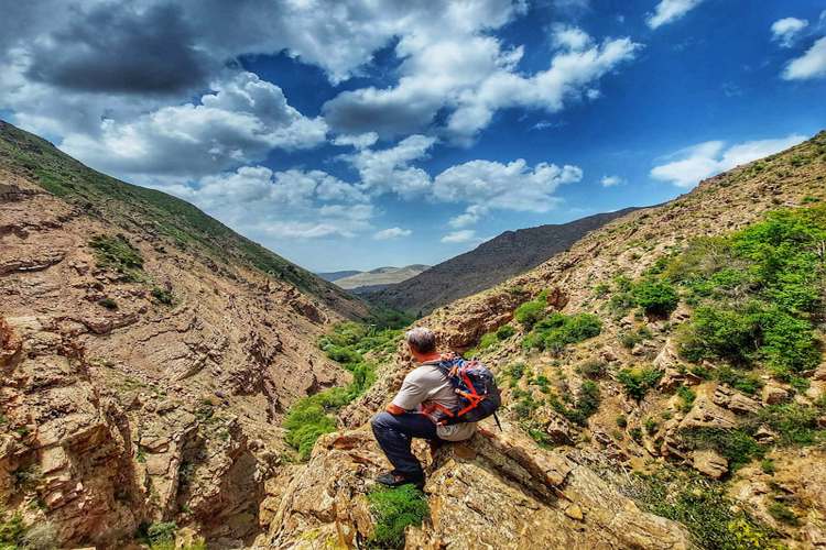 روستای برگ جهان